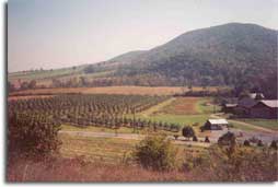 County Line Orchard