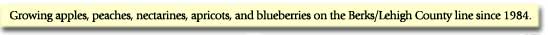 Growing apples, peaches, nectarines, apricots, and blueberries on the Berks/Lehigh County line since 1984.